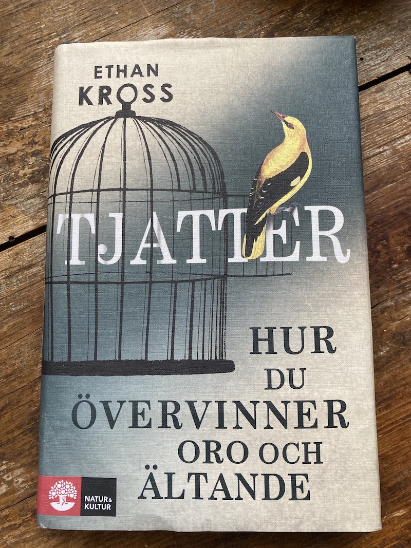 Varför är ritualer en del av vårt liv – insikter från Ethan Kross bok ”Tjatter”