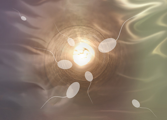 Spermier tappar kraft av solskydd visar ny forskning