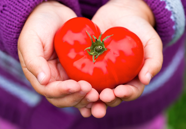 Vegetariskt minskar risken för hjärtsjukdom