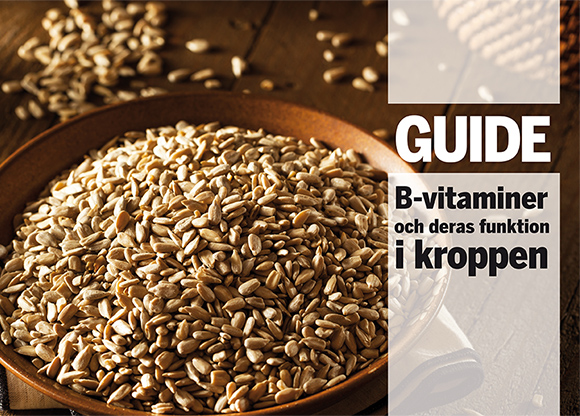 Guide: B-vitaminers funktion i kroppen