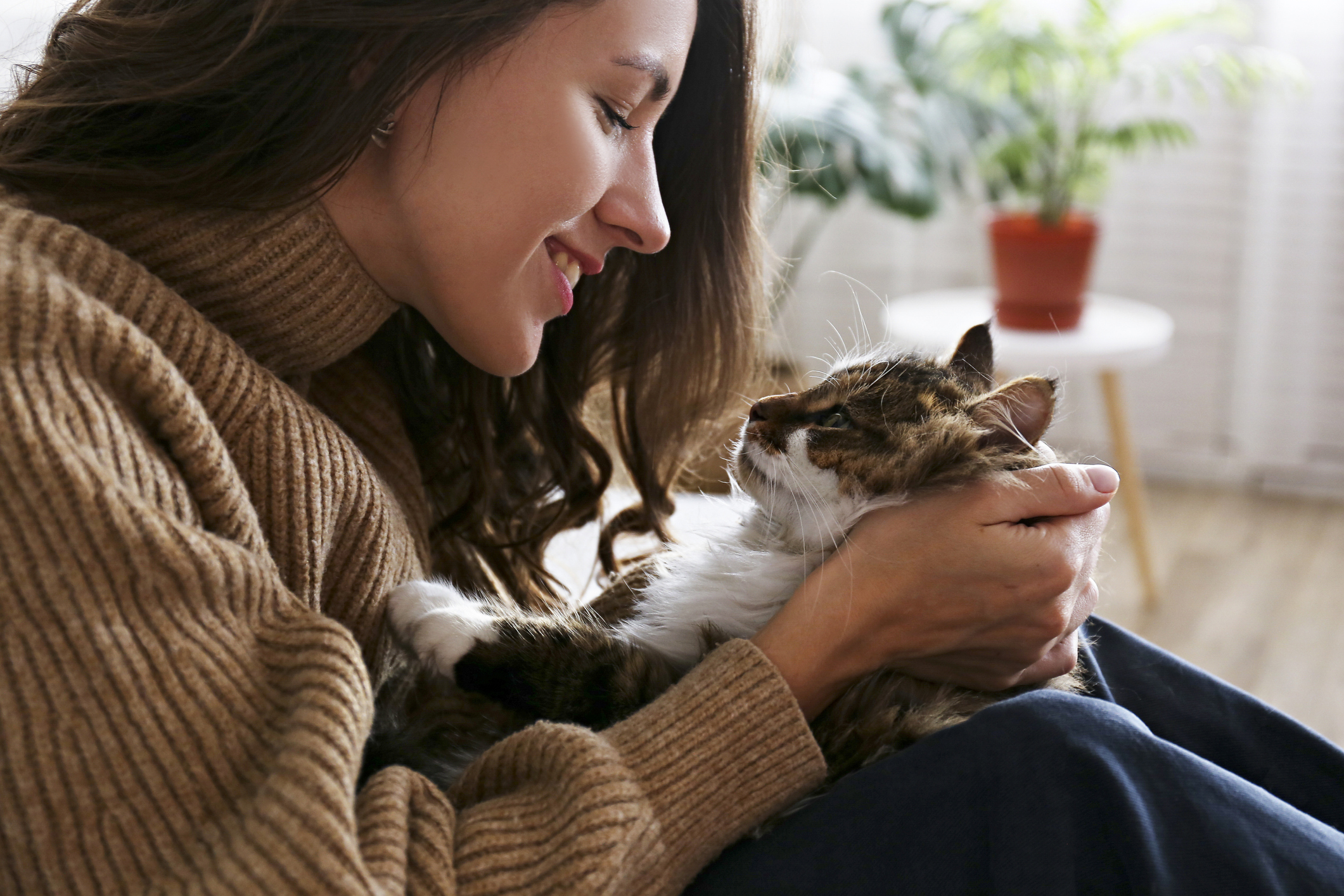 Ung kvinna kelar med en katt i sitt knä