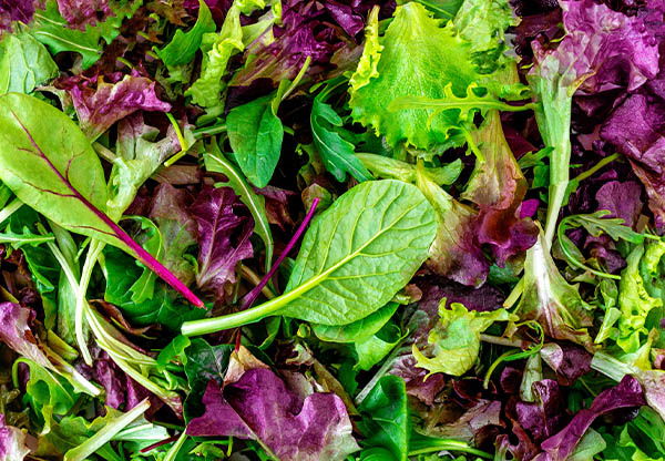 Ät mer gröna bladgrönsaker – det skyddar hjärtat