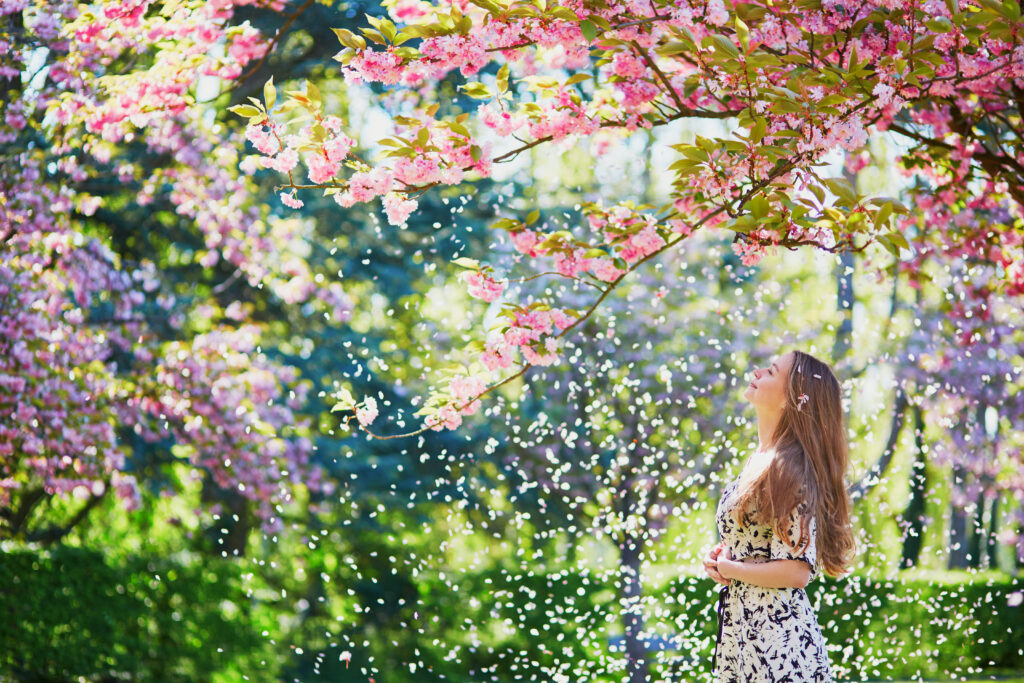 Beautiful girl in cherry blossom garden on a spring day, flower petals falling from the tree