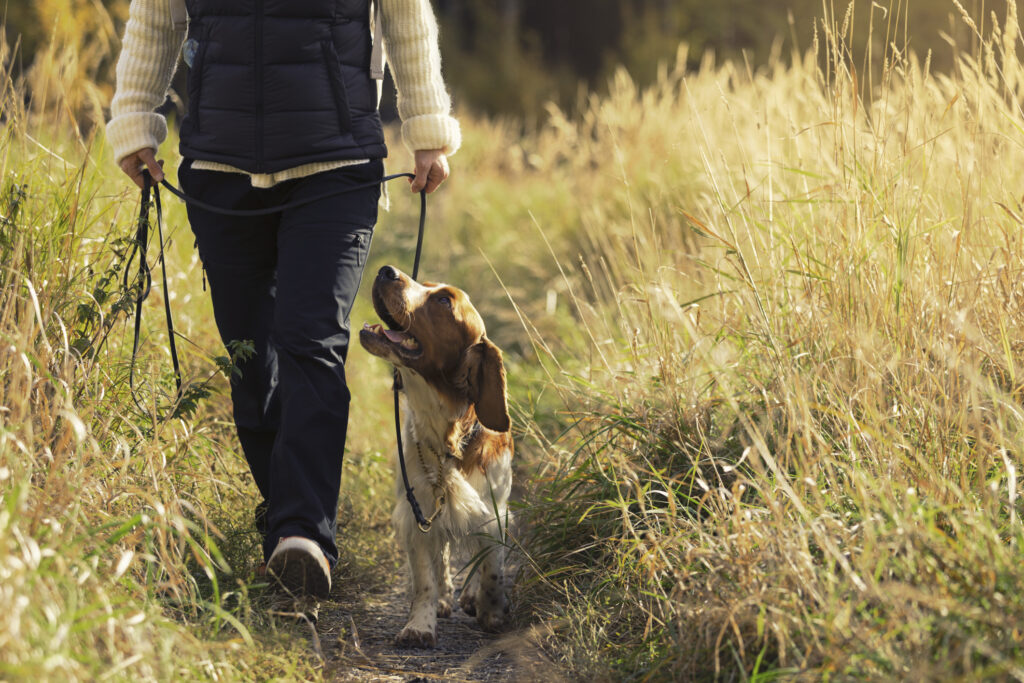 Kvinna är ute och promenerar med hund