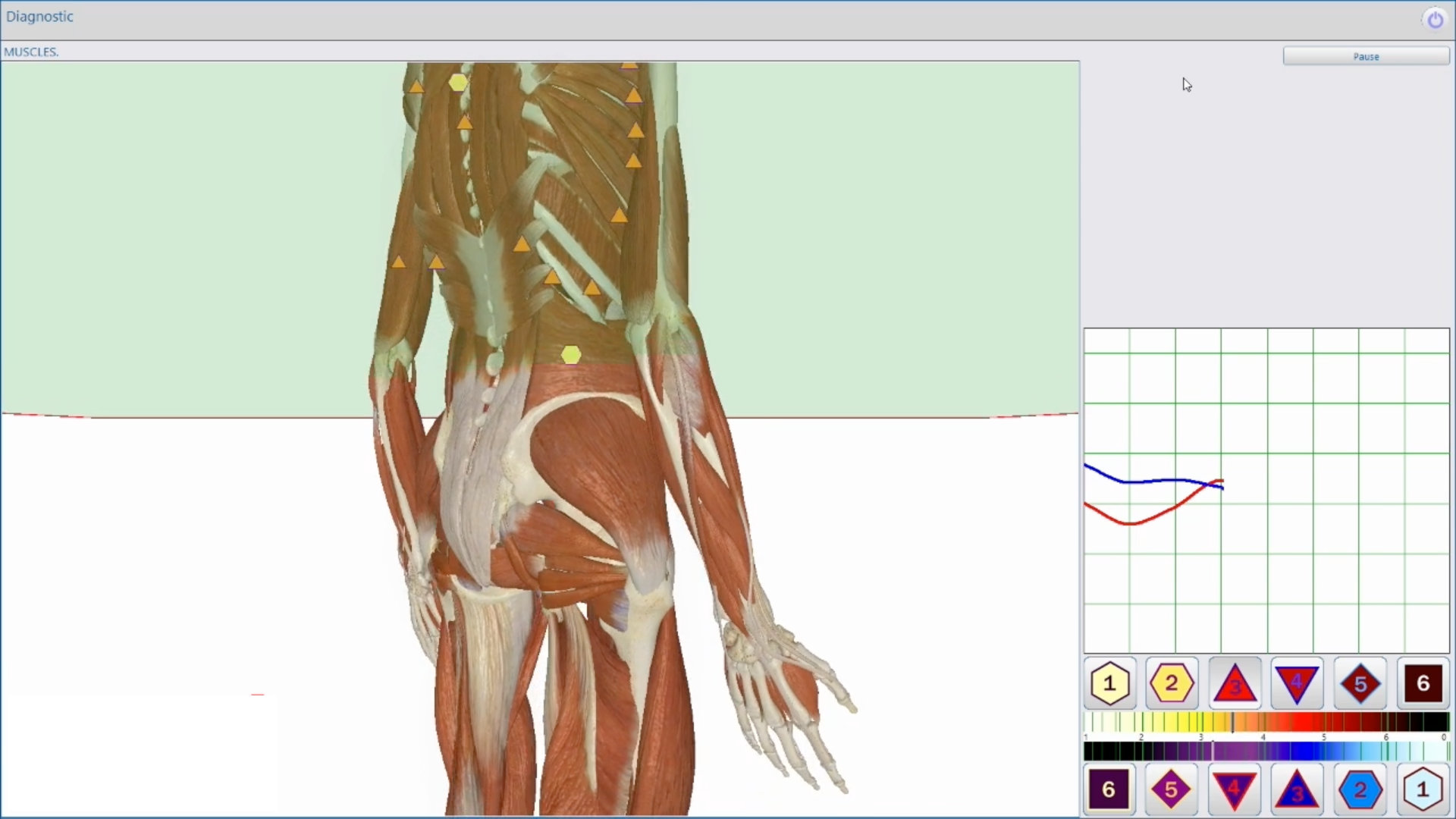 Illustration av en människokropp i 3D med Metatron Hospital