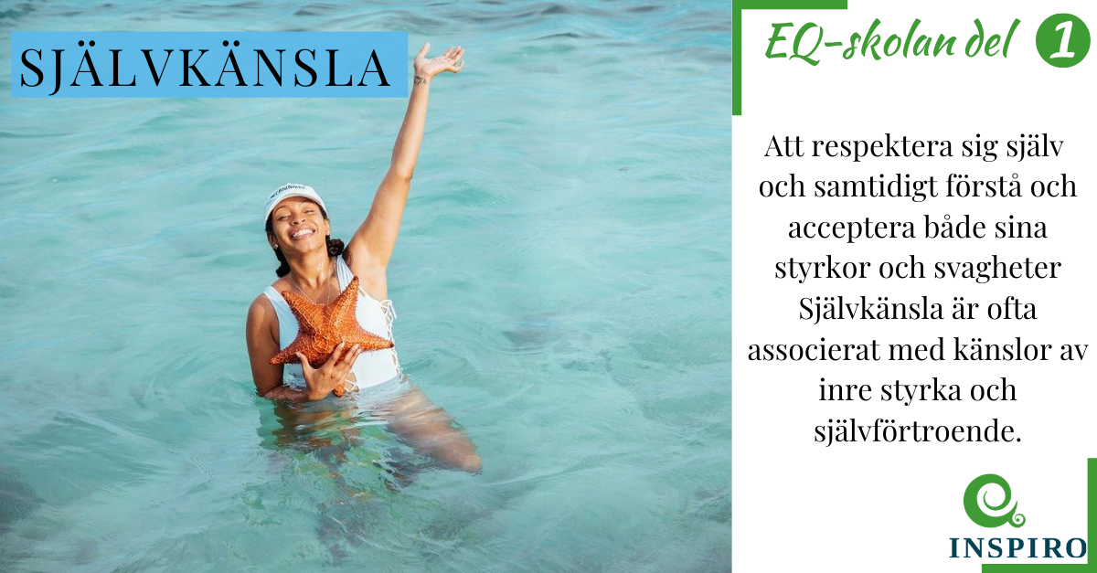 Självkänsla Inspiro eq consulting