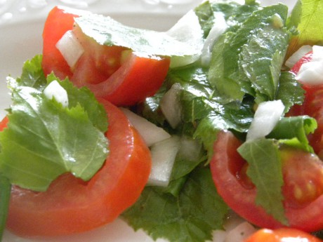 Sallad på tomater, björkblad lök på vitt fat