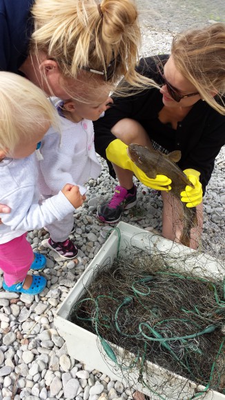Barn tittar på när en kvinna håller upp en nyfiskad torsk på en strand på Gotland