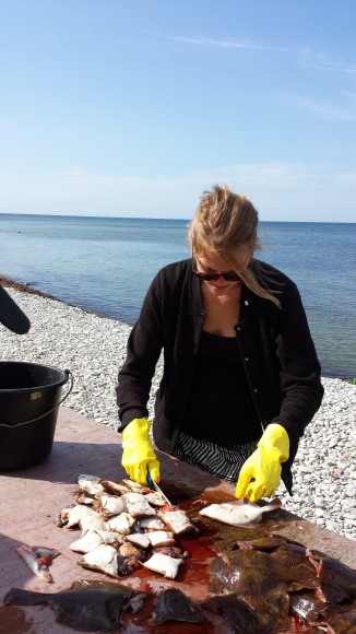 Kvinna rensar flundror på ett bord vid en strand på Gotland